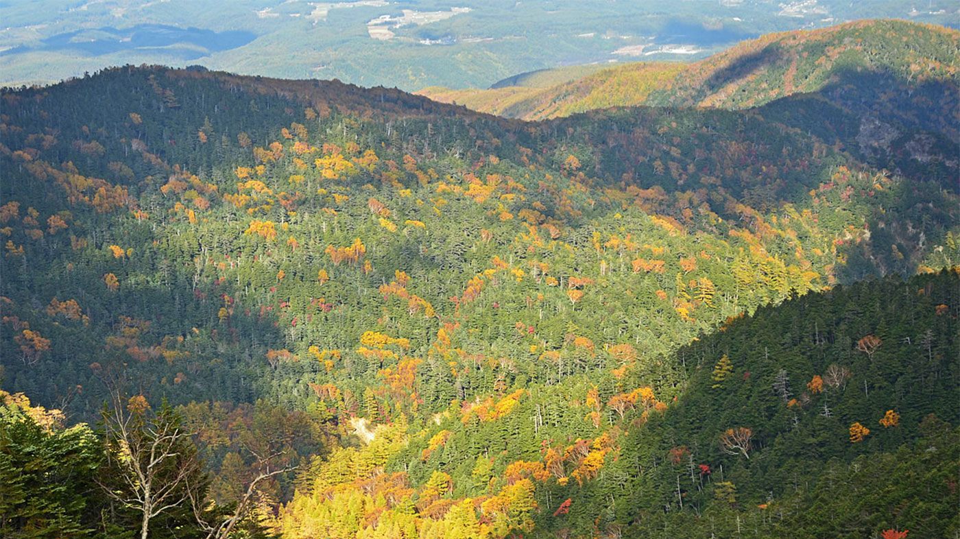 八ヶ岳 中信高原紅葉ハイキング The Japan Alps